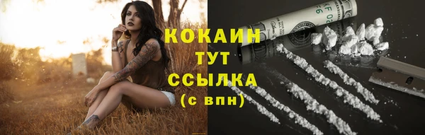 прущий лед Алексеевка