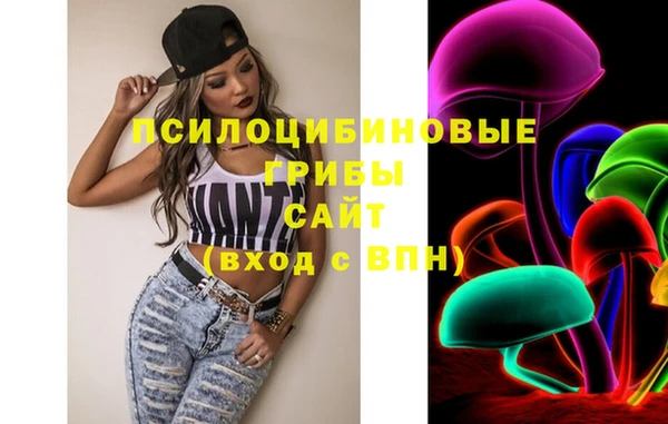 соль курить ск Алзамай