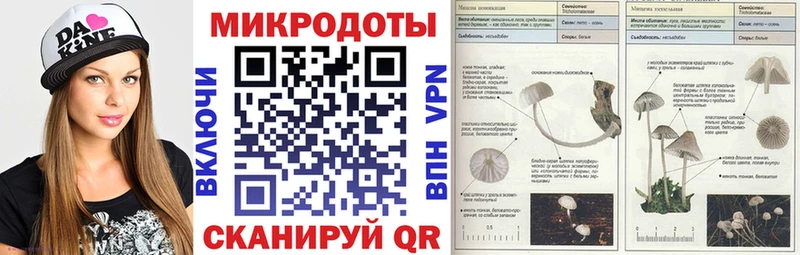 Галлюциногенные грибы ЛСД  дарнет шоп  Заволжск 